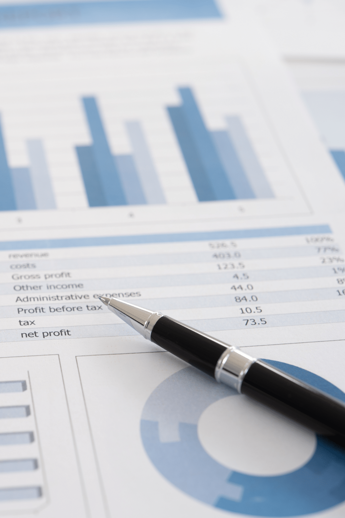 Vertical financial chart or report illustrating hierarchical financial data, trends, and metrics for clear analysis and business insights
